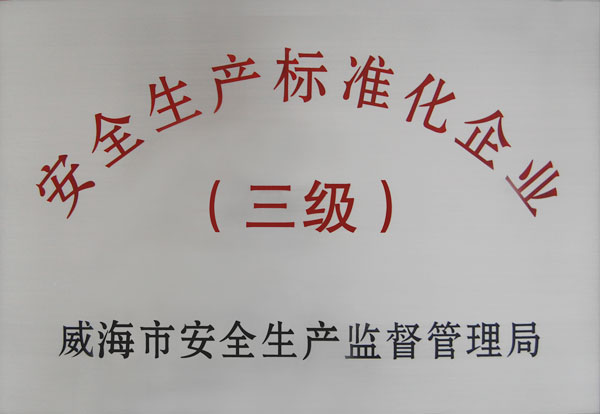 安全生產(chǎn)標準化企業(yè)